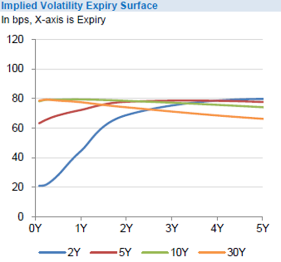 Volatility Term Structure