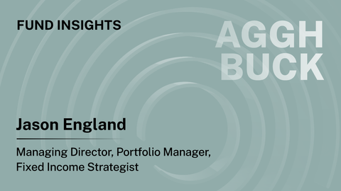 AGGH/BUCK Fund Insights