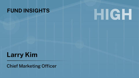 Fund Insights: HIGH by Larry Kim